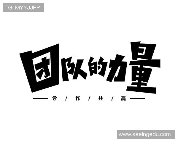 南京排球队的阵地战解析：战术创新与团队协作的完美结合