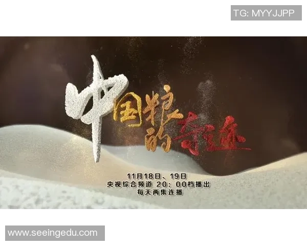 重庆篮球队的奋斗历程与邀请赛背后的故事揭秘