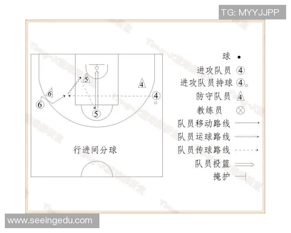 广州篮球队战术解析：对比分析球队风格与战术执行的优势与不足