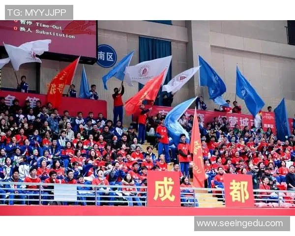 成都排球队战术创新引领排球新潮流助力球队实力提升与胜利频现